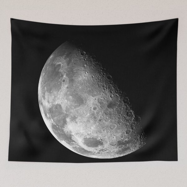 Item preview, Galileo Images the Moon, NASA Photograph designed and sold by HeavyHits.