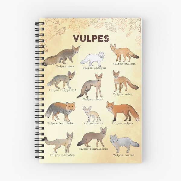 Item preview, Vulpes genus (true foxes) designed and sold by marivin.