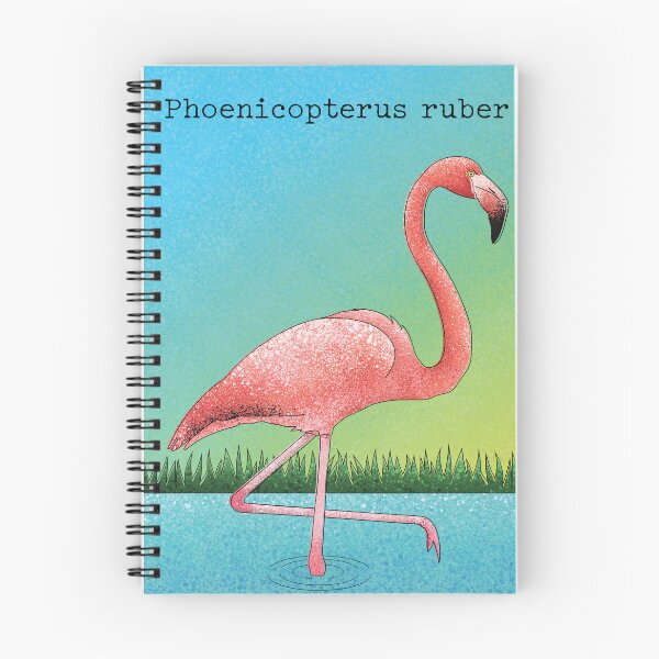 Item preview, Phoenicopterus ruber - American Flamingo designed and sold by marivin.