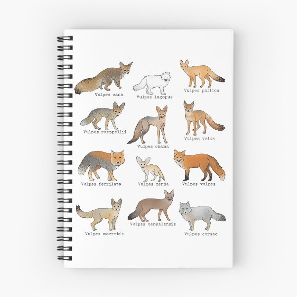 Item preview, Vulpes genus species - true foxes designed and sold by marivin.