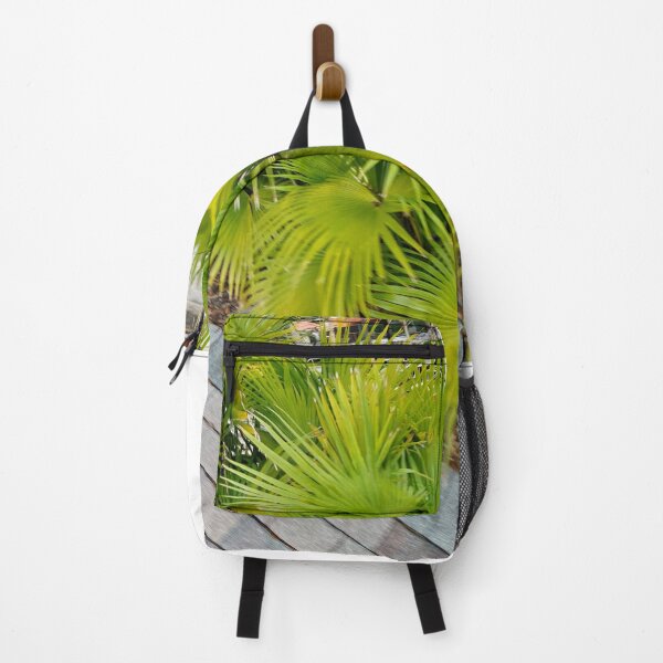 Item preview, Florida Fern designed and sold by Pachewba.