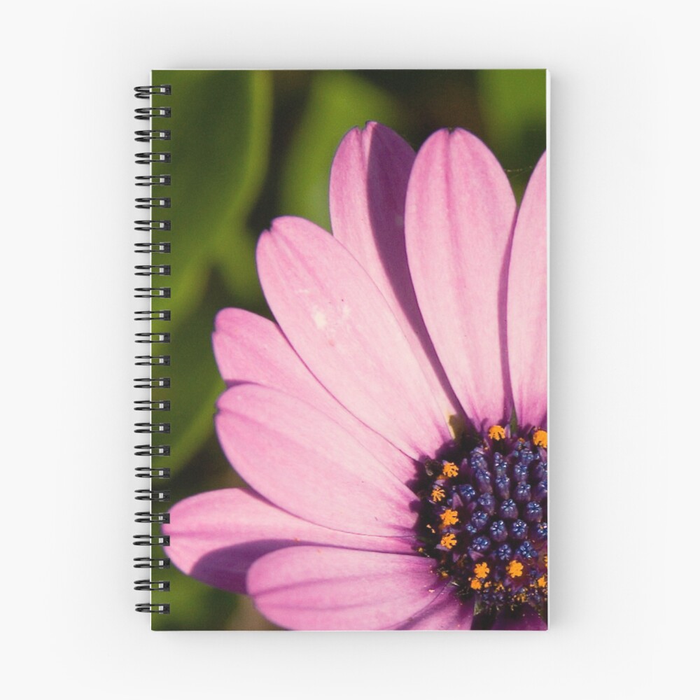 Item preview, Spiral Notebook designed and sold by Chook.