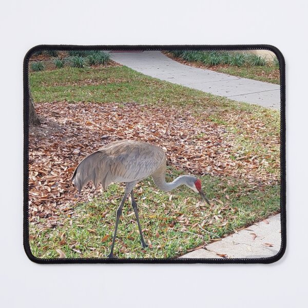 Item preview, Sandhill Crane designed and sold by Pachewba.