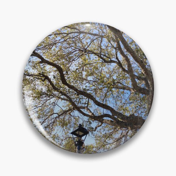 Item preview, Underside of a Tree and Lamp designed and sold by Pachewba.