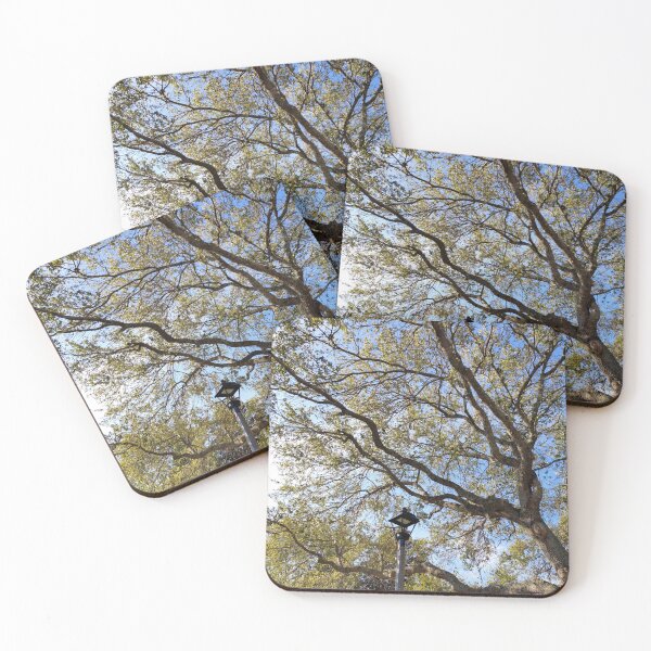 Item preview, Underside of a Tree and Lamp designed and sold by Pachewba.