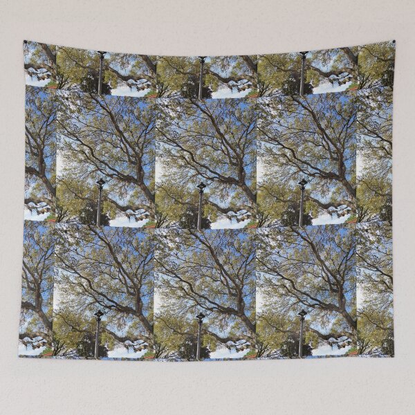 Item preview, Underside of a Tree and Lamp designed and sold by Pachewba.
