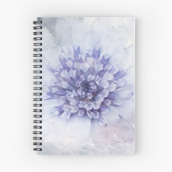 Item preview, Osteospermum Digital Watercolor designed and sold by Shauna Kenworthy.