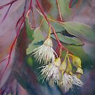 'A Burst of Ironbark' by Lynda Robinson