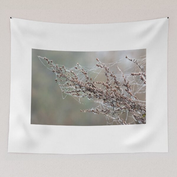 Item preview, branch with dew drops and spider net designed and sold by goceris.