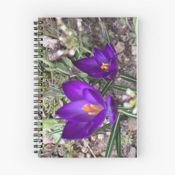 Item preview, Two Sharp Crocuses  designed and sold by Amanda1775.
