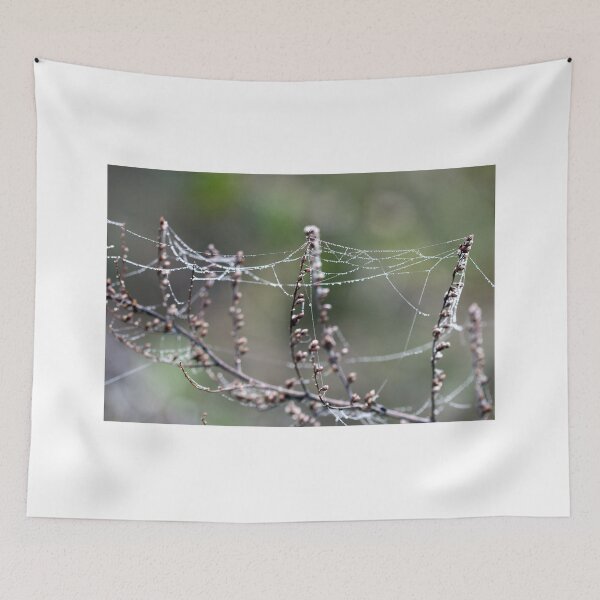 Item preview, branch with dew drops and spider cobweb designed and sold by goceris.
