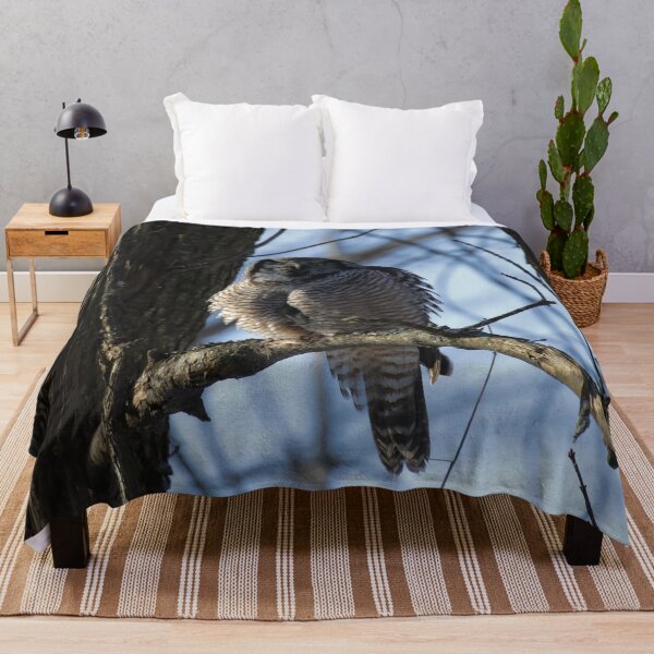 Item preview, Hawk owl with secret prey designed and sold by locustgirl.