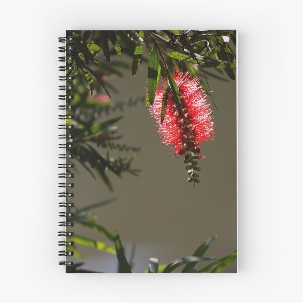 Aperçu de l'œuvre Bottle Brush créée et vendue par Ray Fowler.