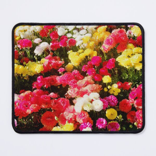 Item preview, Bed of Ranunculus designed and sold by Designsbygroovy.