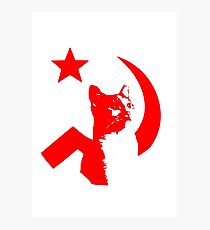 Catspirationiste Photographic Print