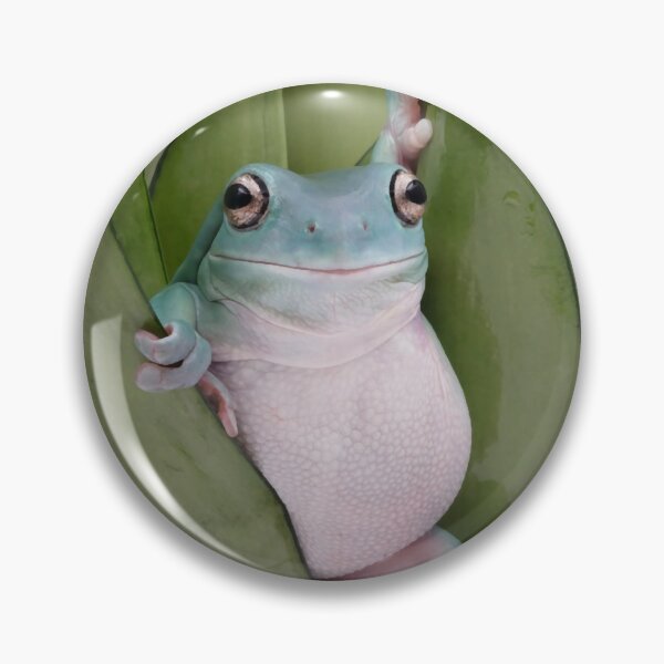 Artikelvorschau, HD Frogue Internet Meme Frog Fashion entworfen und verkauft von EtwaunnHine.