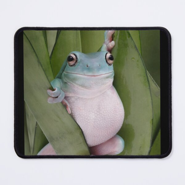 Artikelvorschau, HD Frogue Internet Meme Frog Fashion entworfen und verkauft von EtwaunnHine.