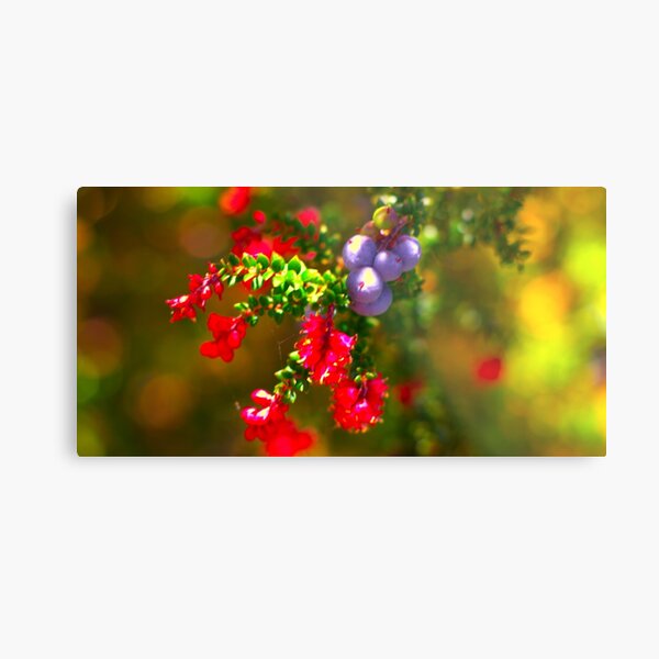 Item preview, Bezza the berries designed and sold by ExpressMagic.