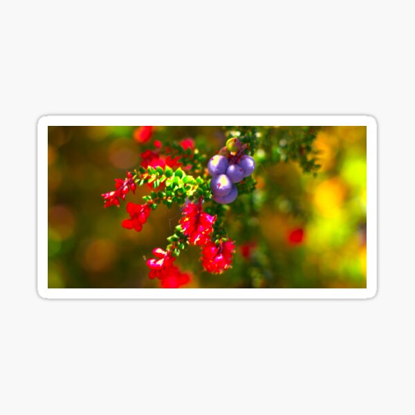 Item preview, Bezza the berries designed and sold by ExpressMagic.