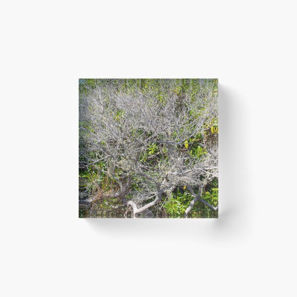 Item preview, Tree Of Twigs designed and sold by Michael McGimpsey.