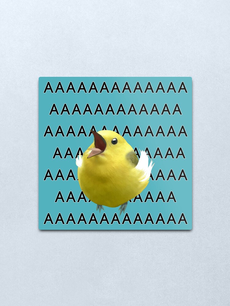 aaaaaaaa Screaming Birb Meme Metal Print By Drlurking Redbubble