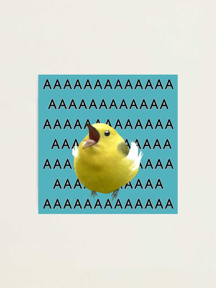 AAAAAAAAAA screaming birb meme | Art Print