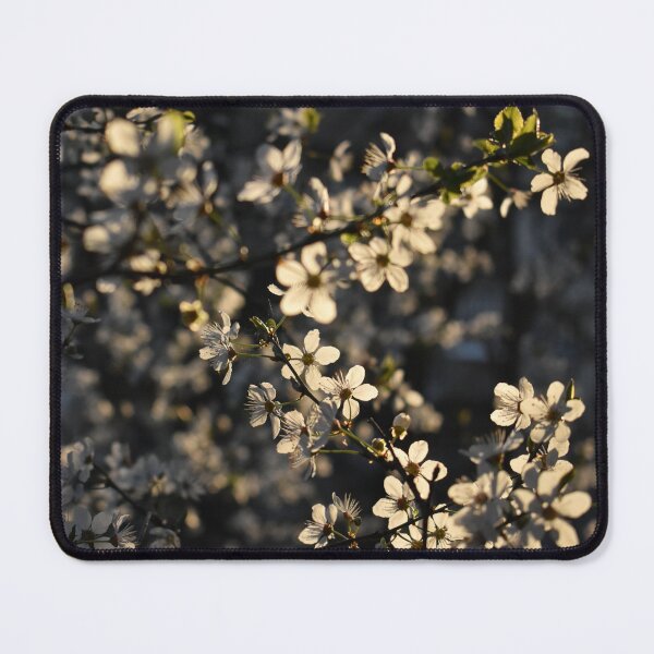 Item preview, White cherry blossom spring theme designed and sold by mariya-ivanova.