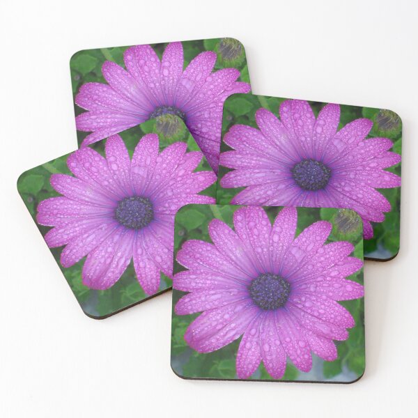 Item preview, Purple African Daisy with Raindrops designed and sold by taiche.