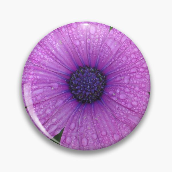 Item preview, Purple African Daisy with Raindrops designed and sold by taiche.
