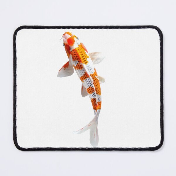 Item preview, Koi Fish Still Life Photography Original Digital Photography Orange Photo Animal Themed Art For Home Nature Decor for Wall Hanging Office designed and sold by 33wolvesdesigns.