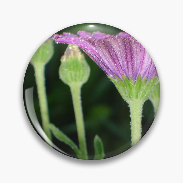 Item preview, Purple And Pink Daisy Flower in Perspective designed and sold by taiche.