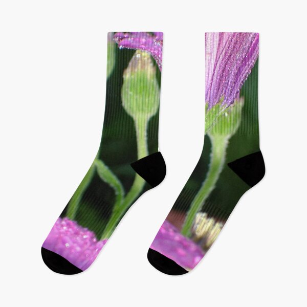 Item preview, Purple And Pink Daisy Flower in Perspective designed and sold by taiche.