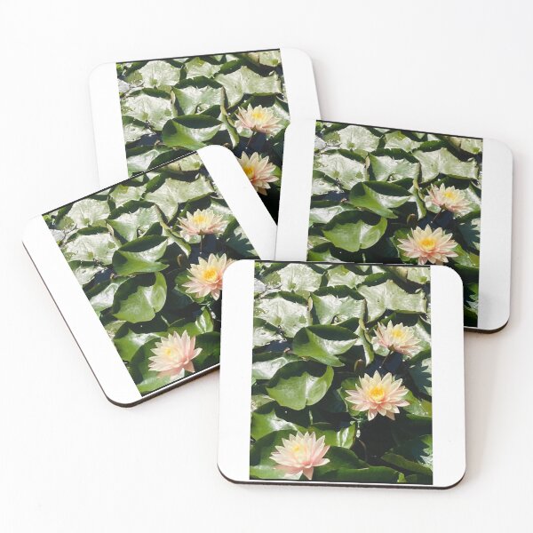 Item preview, Water Lillies Echo Park Lake designed and sold by lisasfar.
