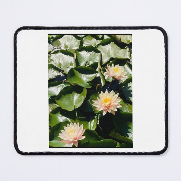 Item preview, Water Lillies Echo Park Lake designed and sold by lisasfar.