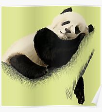 Panda Poster