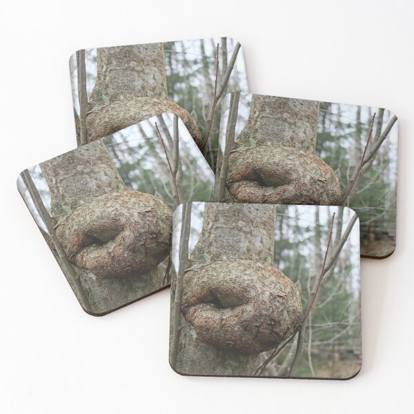 Item preview, round burl, a bizarre growth on a tree trunk  designed and sold by mrivserg.