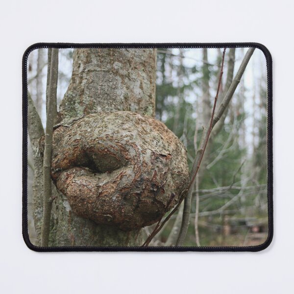 Item preview, round burl, a bizarre growth on a tree trunk  designed and sold by mrivserg.