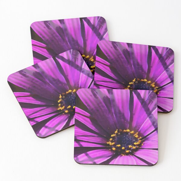 Item preview, Artistic Purple African Daisy Close Up designed and sold by taiche.