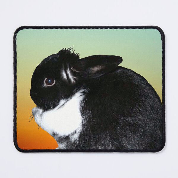 Item preview, Cute Lop Bunny Rabbit for Bunny Hugger designed and sold by suekieper.