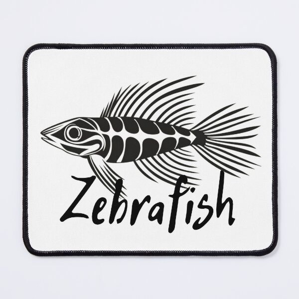 Item preview, Zebrafish funny character designed and sold by VibeStyleShop.