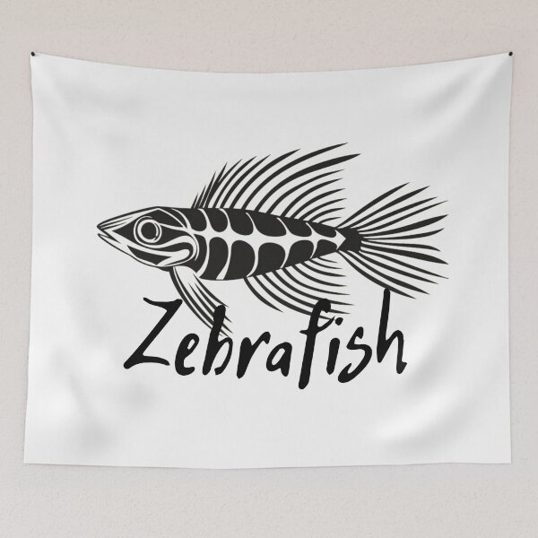 Item preview, Zebrafish funny character designed and sold by VibeStyleShop.
