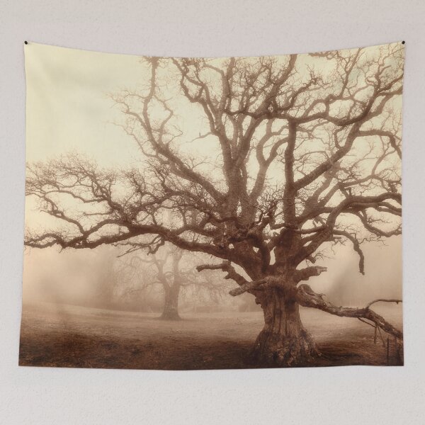 Item preview, Mighty Old Oak in fog by heidiannemorris © designed and sold by FOLK ART FUSION by heidiannemorris.