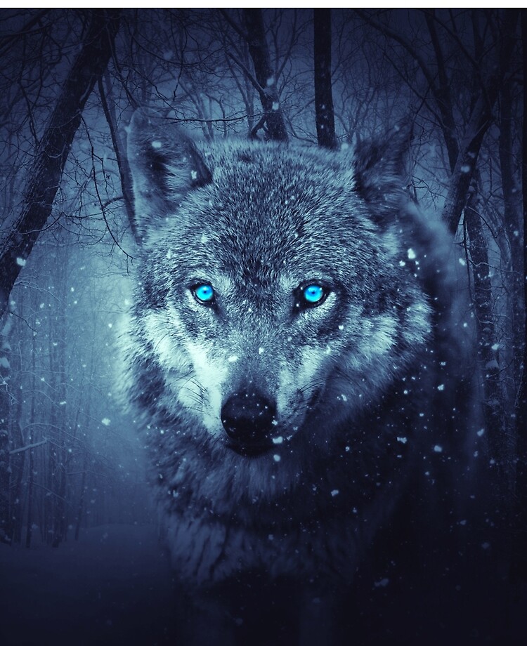 Wolf With Blue Eyes