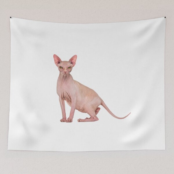 Item preview, sphynx cat designed and sold by PineLemon.