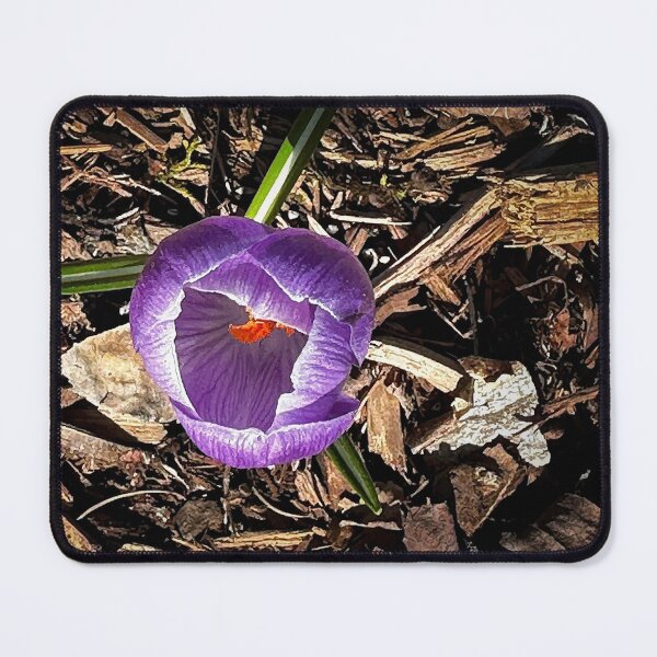 Item preview, Overachiever designed and sold by Steve Walser.