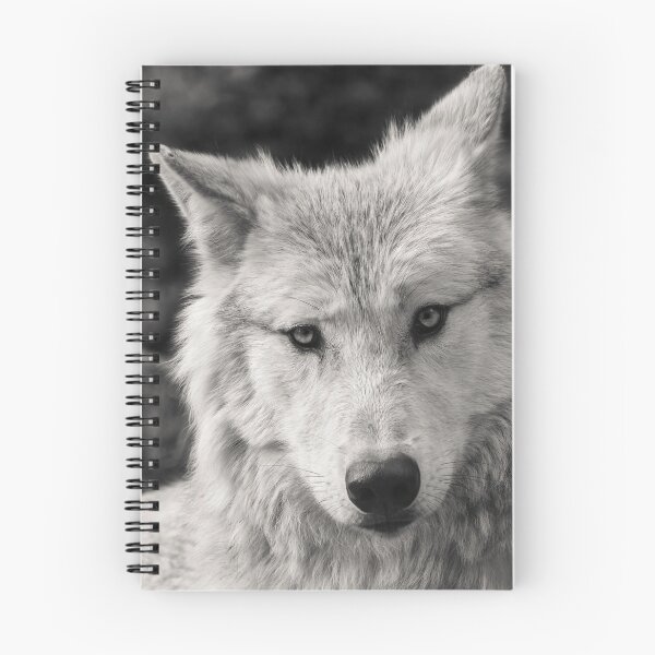 Item preview, Lobo blanco que mira designed and sold by PurefireDesigns.