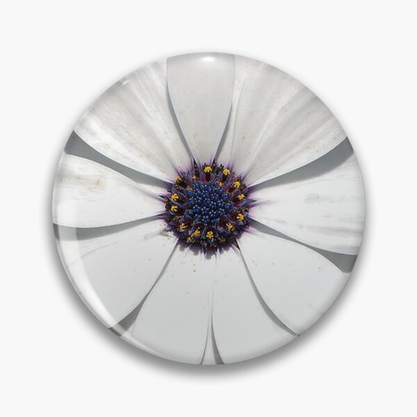 Item preview, Beautiful Blossoming White Osteospermum Flower designed and sold by taiche.