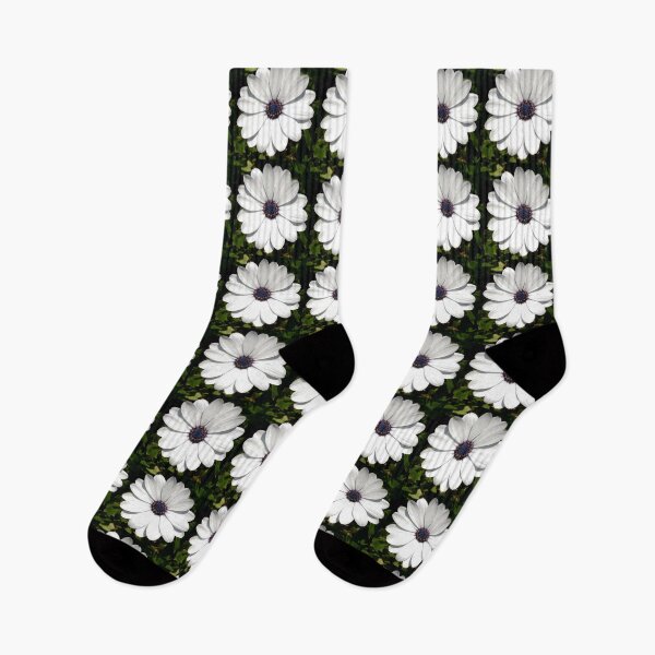 Item preview, Beautiful Blossoming White Osteospermum Flower designed and sold by taiche.