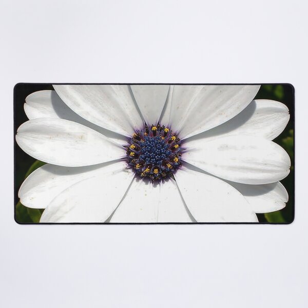 Item preview, Beautiful Blossoming White Osteospermum Flower designed and sold by taiche.