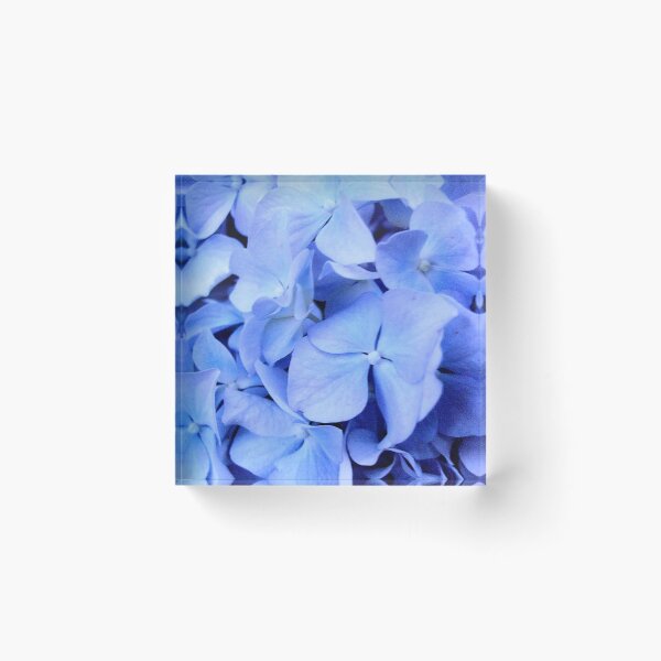 Item preview, Hydrangea  designed and sold by Ana Belaj.